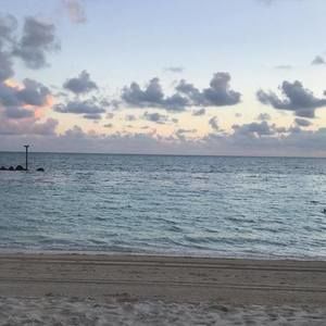 Meet your Posher, Gina